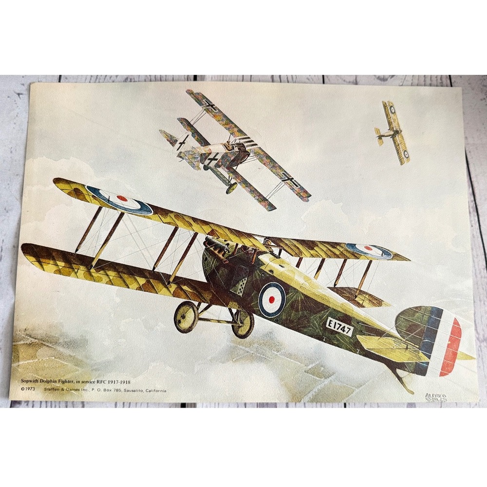 Vintage 1973 Sopwith Dolphin Fighter WWI Aircraft Art Print Steffen Coines